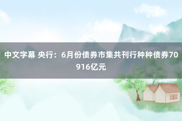 中文字幕 央行：6月份债券市集共刊行种种债券70916亿元