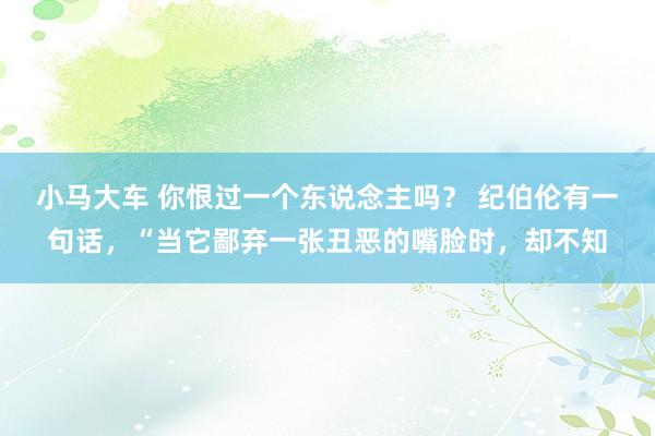 小马大车 你恨过一个东说念主吗？ 纪伯伦有一句话，“当它鄙弃一张丑恶的嘴脸时，却不知