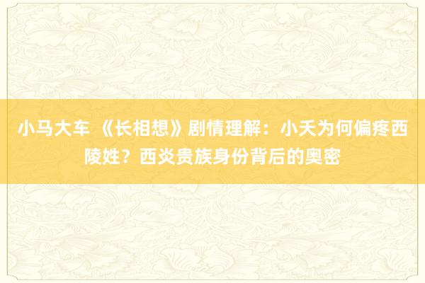 小马大车 《长相想》剧情理解：小夭为何偏疼西陵姓？西炎贵族身份背后的奥密