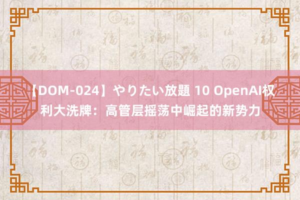 【DOM-024】やりたい放題 10 OpenAI权利大洗牌：高管层摇荡中崛起的新势力