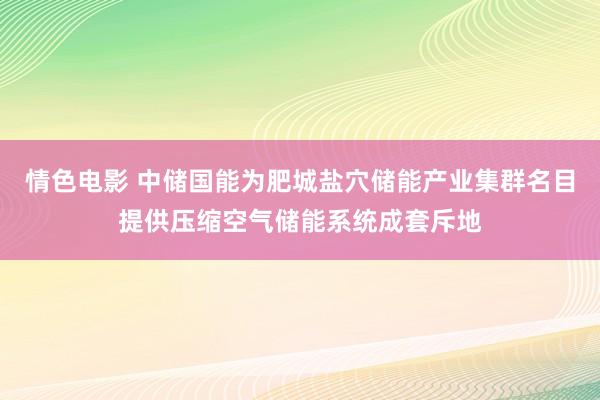 情色电影 中储国能为肥城盐穴储能产业集群名目提供压缩空气储能系统成套斥地