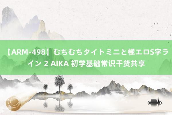 【ARM-498】むちむちタイトミニと極エロS字ライン 2 AIKA 初学基础常识干货共享