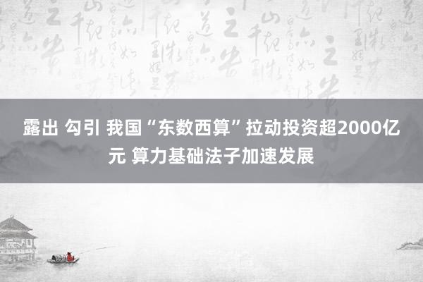 露出 勾引 我国“东数西算”拉动投资超2000亿元 算力基础法子加速发展