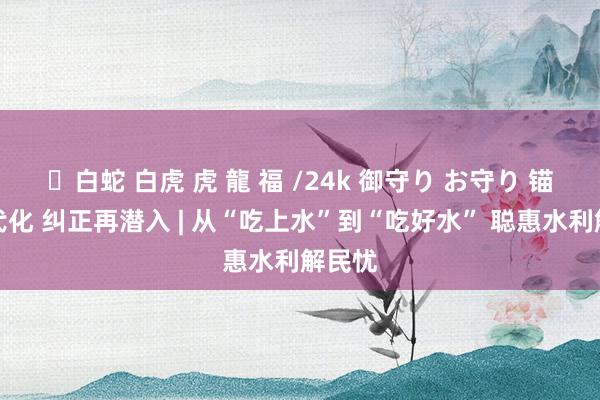 ✨白蛇 白虎 虎 龍 福 /24k 御守り お守り 锚定当代化 纠正再潜入 | 从“吃上水”到“吃好水” 聪惠水利解民忧