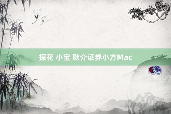 探花 小宝 耿介证券小方Mac