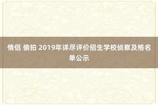 情侣 偷拍 2019年详尽评价招生学校侦察及格名单公示